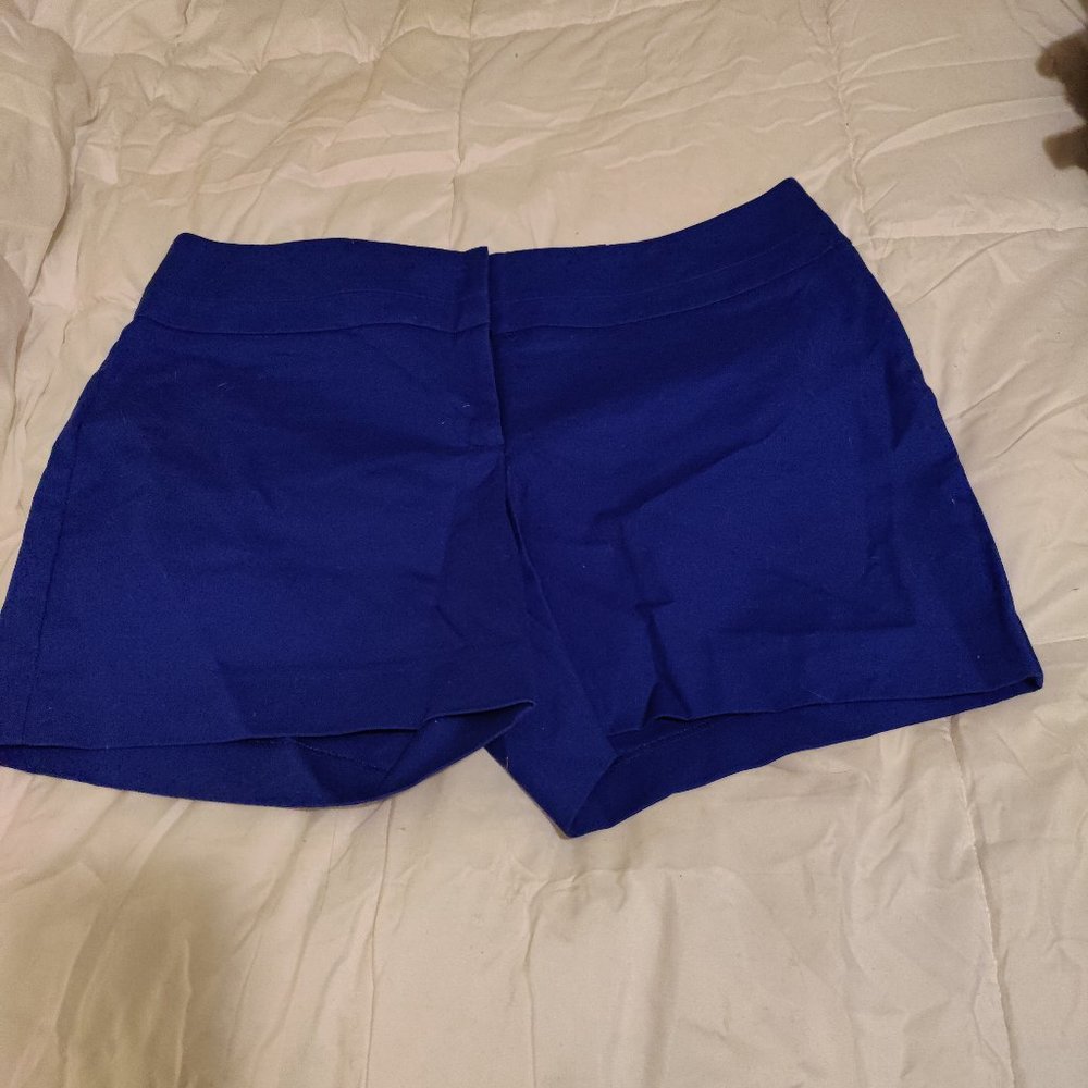 Blue Shorts New with Tags